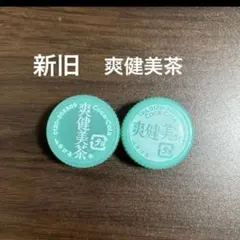 お茶お茶様 リクエスト 2点 まとめ商品