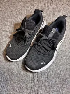 Item thumbnail for item 3f4da15c-8d93-40d7-8b19-6341f80f01fc