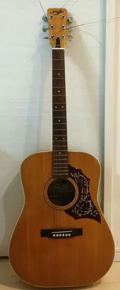 2026年最新】roje ギターの人気アイテム - メルカリ