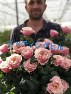 Rose様 リクエスト 2点 まとめ商品