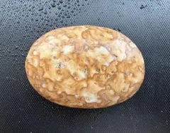 【糸魚川産】　形も模様も綺麗な姫川薬石　約154gのサムネイル