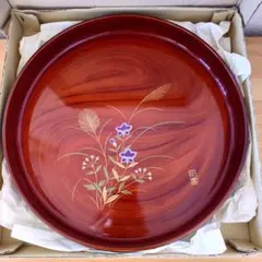 Item thumbnail for item 36828bc2-4529-4f2b-94d1-3b73cf90c3d4