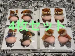 4点セット(8個入り)　柴犬 お腹ぷにぷにシール 3Dシール ステッカーシール帳