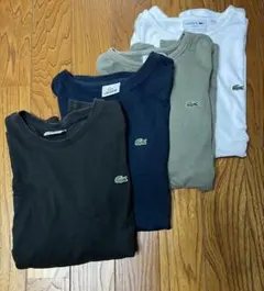 【バラ売り不可】LACOSTE tシャツ 4色セット