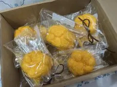 【非売品】dodomi スクイーズ サクサク肉球 ランダム3個セット