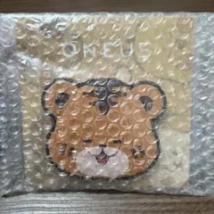 Item thumbnail for item e2f3ab95-5a65-48b1-952c-971dd765150d