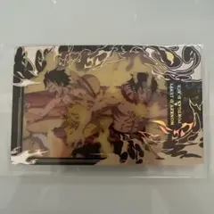 モンキー・D・ルフィ & ポートガス・D・エース ホログラフィックカード