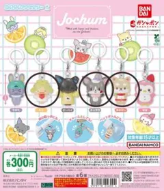 JOCHUM めじるしアクセサリー もこ チュララ まめちぃ