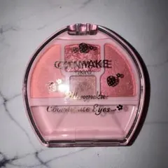 キャンメイク　プランぷくコーデアイズ04