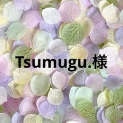 Tsumugu.様 リクエスト 2点 まとめ商品