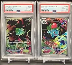【PSA10】2連番 ポケモンカード フシギダネ フシギソウ AR