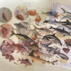 Item thumbnail for item e9bf4cd8-b947-4428-8b61-1fa1ff27e5e4