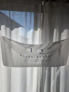 1/2 HALF BIRTHDAY タペストリー
