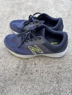 Item thumbnail for item 2309da20-2d09-4a20-91c7-7d184cf9c918