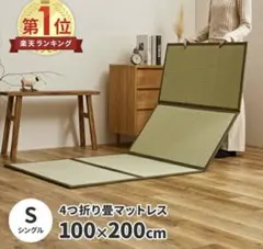 Item thumbnail for item c640f4c2-19e7-4736-af29-00eb56905c6f