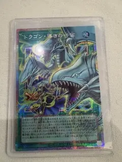 遊戯王　ドラゴン　導きの呼笛　オーバーフレームプリズマティックシークレットレア