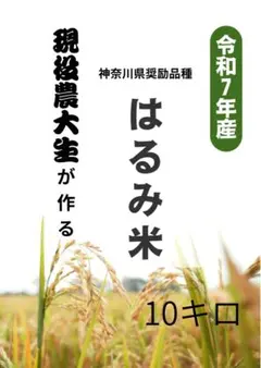 10kg 玄米食に最適「はるみ」自然栽培米 農薬不使用 玄米 - メルカリ