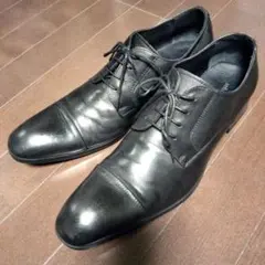 Item thumbnail for item b27b215e-38d0-4451-a519-b2f1c217434c