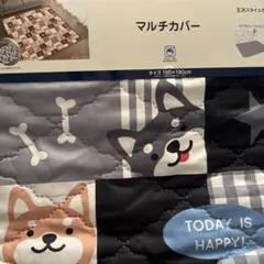 Item thumbnail for item 6e055fc7-4b74-4903-bf72-40c126a58c9d