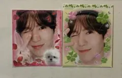 NCT WISH songbird letter リョウ ステッカー