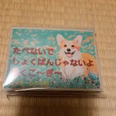 オリジナルコーギースリーブ1パック