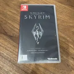 Nintendo Switch SKYRIM