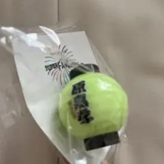 新品未開封】timelesz 菊池風磨 光るちょうちんキーホルダー