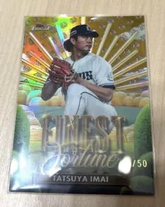 Item thumbnail for item 28682b41-a4d8-4aee-81b9-9eb429871e90