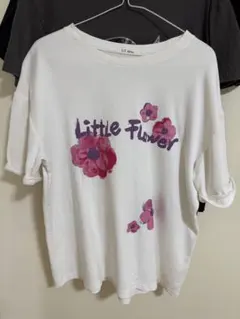 Item thumbnail for item 2bb9ca03-280f-424c-a469-bc0086bb0bc5