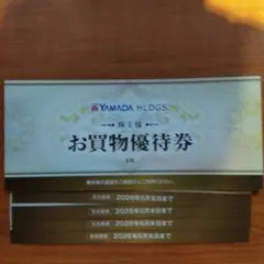 ヤマダデンキ 優待 5000円分 20260630まで