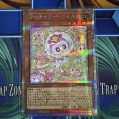 遊戯王 マルチャミー・ニャルス プリシク