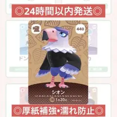 シオン　あつ森　アミーボ