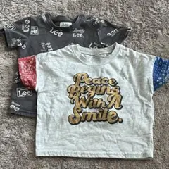 Item thumbnail for item 2f425d47-b92b-4cb1-9a62-2afa7707222e