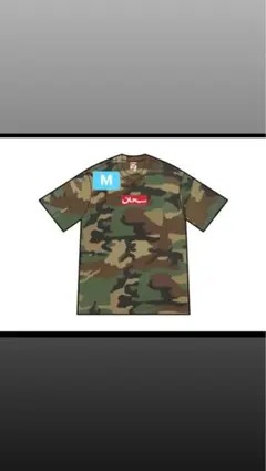 Item thumbnail for item 7ca4b0e8-7a63-4a17-9649-ac777d6ddc98