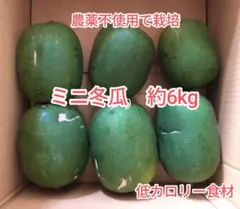 ミニ冬瓜　約6kg　低カロリー食材　農薬無し栽培　香川県産のサムネイル