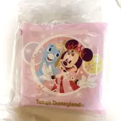 ディズニー　ショッピングバッグ　エコバッグ　ファンダフルディズニー