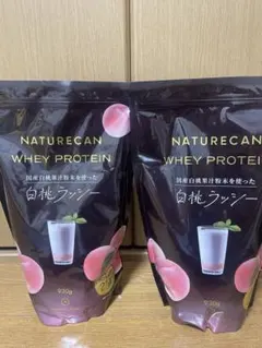 Sale❣️新品未開封NATURECANネイチャーカンプロテイン2種とシェイカー 