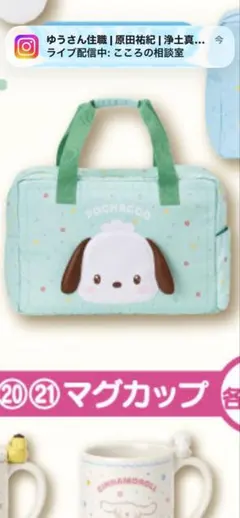 サンリオ当たりくじ　ポチャッコ キャリーオンバッグ