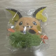 韓国限定 ポケモン】 ソンス ポップアップ ヘアピン ライチュウ - メルカリ