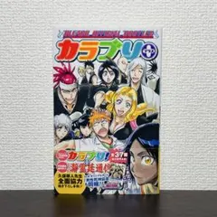 2026年最新】bleach カラブリの人気アイテム - メルカリ