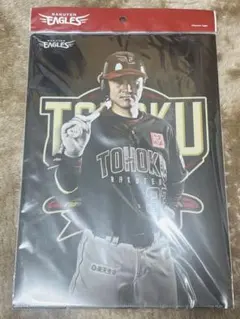 Item thumbnail for item be10234c-6998-49f8-bde6-16a6c9a0c5cd