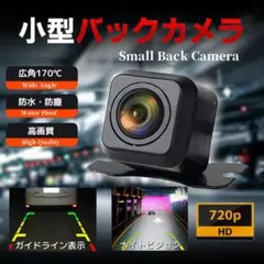 Item thumbnail for item 0c192315-5332-4993-bf32-58e56461f793