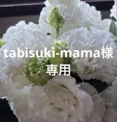 2026年最新】トルコキキョウ 苗の人気アイテム - メルカリ