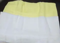 Item thumbnail for item 845a143b-a750-4776-ab27-7a0fbe51022f