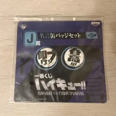 二口　缶バッジ20点セット 2025年最新】二口堅治 缶バッジの人気アイテム - メルカリ