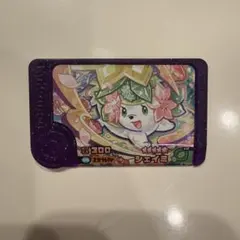 Item thumbnail for item 8dc5d8d1-a502-425e-9718-3e9ec856e34a