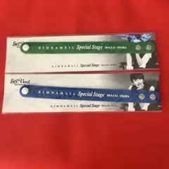 キム・ナムギルSpecial Stageリストバンド2色セット2014年