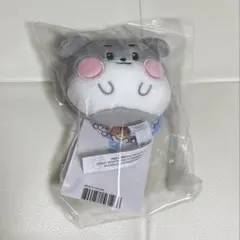 【新品未開封匿名配送】ZB1 ゴヌク ゴニニ キーリング キーホルダー