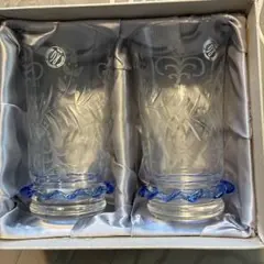 EDEL RG タンブラー花模様のグラス 2個セット