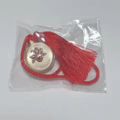 Item thumbnail for item 6594cc3d-9173-41ed-8c81-982d5e1b1c43